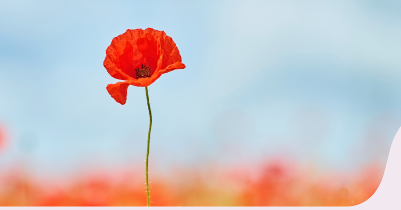 Herdenkingen op 4 mei 2026